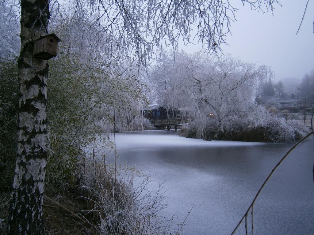 Le Chalet Pre De La Fontaine Paliseul Екстериор снимка